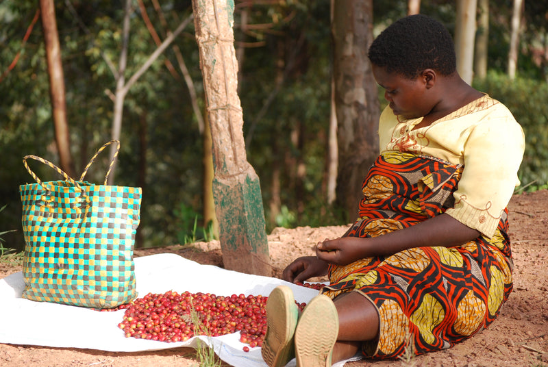 Rwanda - Kinini Village (Cooperative)