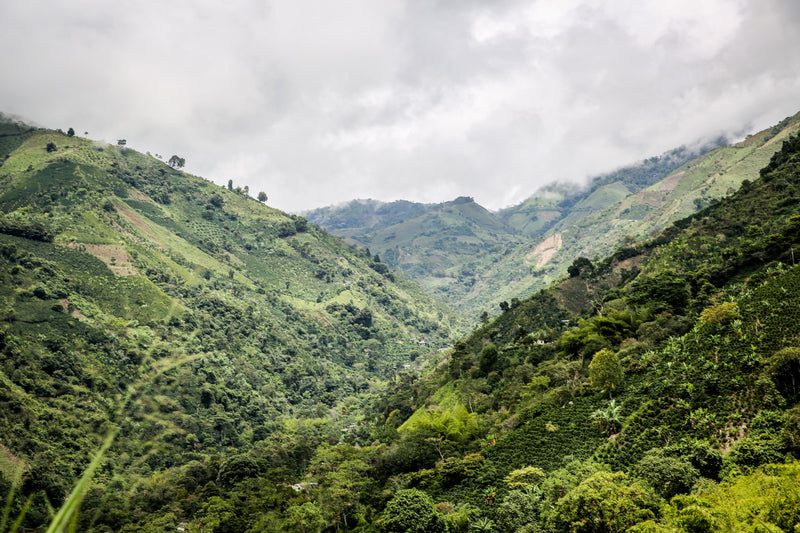 Colombia - Rio Grande