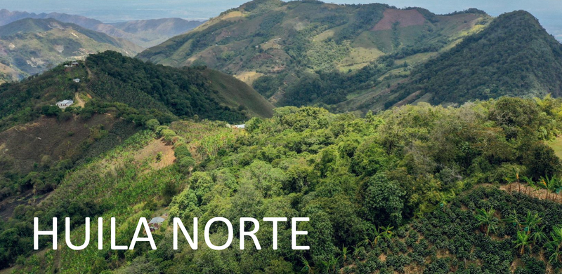 Colombia - Huila Norte